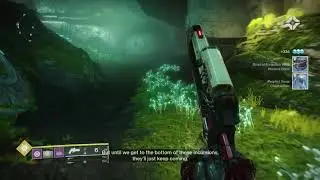 Vex Offensive: A World Apart | Second Encounter Complete | Season of the Undying