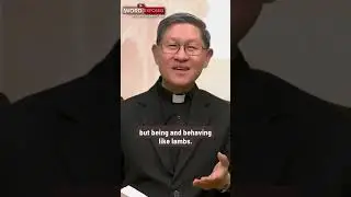 LAMBS, NOT WOLVES | The Word Exposed with Cardinal Chito Tagle