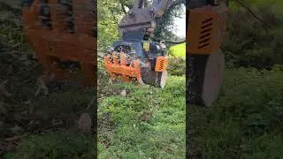 Scorpion X Grapple Saw | MDE Machinery