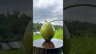 Perfect ASMR | Coconut Cutting Skills #coconutcutting #asmr #shorts