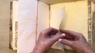 ASMR Bird and Botanical Journal