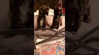 Double Catchadoo
