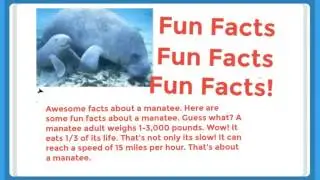 Manatee Are Awesomeness Creatures In Dangerous Extinct Species
