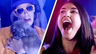 Puppies In The Club (Music Video)