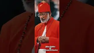 Silver Jubilee of the Episcopal Ordination of Cardinal Mar George Allencherry - Major Archbishop