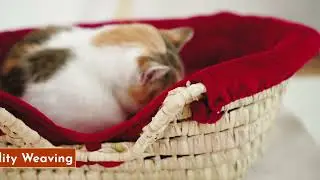 King Of Handmade&trade; Custom Pet Bed: Ultimate Comfort for Your Beloved Pet