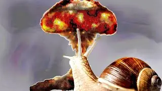 Armored Core 6 Snail Death Scream