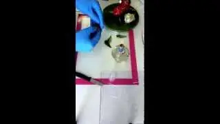 How to gather sugar petals to make  a fantasy flower