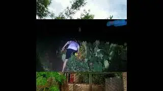 #dandavlog #shorts bắt nh&aacute;i đ&ecirc;m