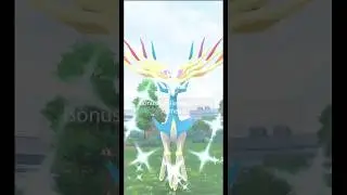 OMG First Raid Shiny✨ Xerneas #pokemongo #shinypokemon #shinyxerneas #magiciantv18 #shorts