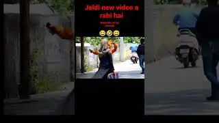 Sadak Teddy Bakchodi
