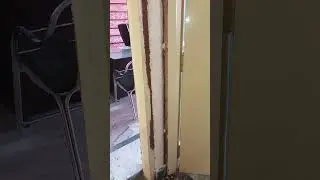 #bestpestcontrol#termitecontrolservice#pestcontrolnearme#pestcontroldeoghar#pestcontrol#pesticides