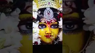 মা মনসা দেবীর পূজা দিতে গেলে অনেক কিছু গুরুত্বপূর্ণ কথা মাথায় রেখে দিতে হবে #shorts