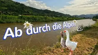 Ab durch die Alpen | Alpenradreise 2023 #02 | Mur-Radweg | Slowenien