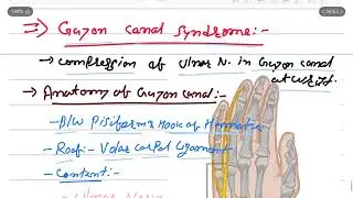 Guyon Canal Syndrome &ndash; Ulnar Nerve Entrapment at the Wrist