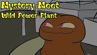 Mystery Meet - Wild Power Plant