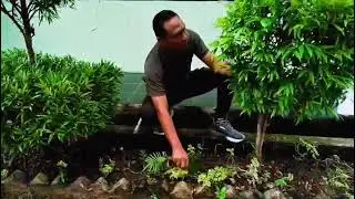 Anggota Makodim 0908/Bontang Melaksanakan Pembersihan Pangkalan