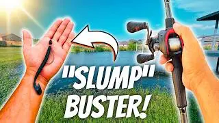 This Bait ENDED My Fishing SLUMP! (Pond Fishing)