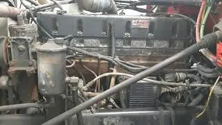 Cummins m11
