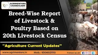 Breed-Wise Report of Livestock & Poultry Based on 20th Livestock Census || Livestock Census