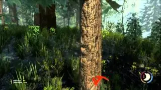 the forest gameplay part 6