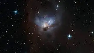 Zooming Into the Cosmic Bat &ndash; Hidden in One of the Darkest Corners of the Orion Constellation