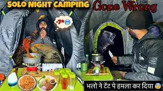 Solo Night Camping Gone Extremely Wrong 😰 | Bear Attacked On my Tent | Winter camping in  India |
