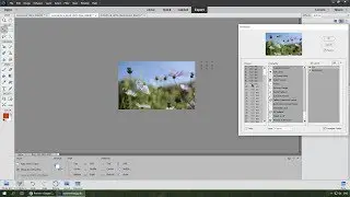 Frame Animation with PSE 15+ and Elements+