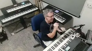 SERGE GAINSBOURG - LEMON INCEST ( Cover By Saulo Pianeiro )