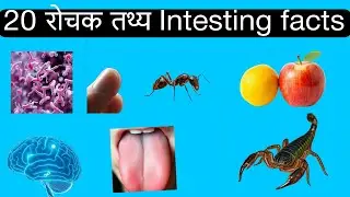 20 रोचक तथ्य। 20 Intesting facts about human and nature #factshorts #factsinhindi #factsmine #facts