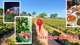 End of Year Vlog 2025 | Christmas Feasting, Cooking & Strawberry Picking