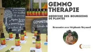Gémmothérapie : les bienfaits des bourgeons pour la santé