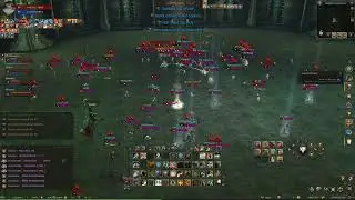 L2XM ESSENCE- PVPZAO DA PRIMEIRA SEMANA DE JANEIRO