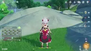 The Daily struggles of a Genshin player