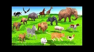 Cartoon Animals Colors Names and Sounds Videos For Children - Learn Farm Animals & Wild Animals Kids