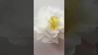 Flores feitas com Papel - Artes&atilde; de V&eacute;nus 🌺 #shorts #short