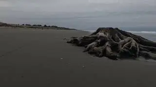 Fat Bike Ride on Clam Beach