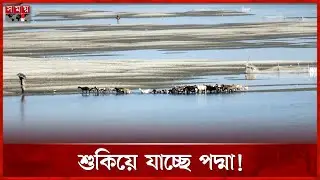 পদ্মার বুকে বিস্তৃত বালুময় চর | Padma River | Rajshahi | Somoy TV