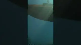 Эдит с драконом 🐉 Сису Sisu Edit #sisu #edit #dragon #fyp #Сису #эдит