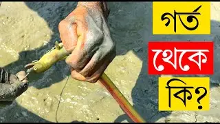 🎣 Traditional Eel Fishing in the Sundarbans | Hook & Line Techniques in the Mangroves 🌿