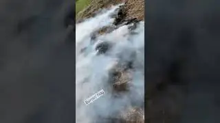 How to get rid of soiled hay #hay #hayfire #burning #burn #fyp #subscribetomychannel #like
