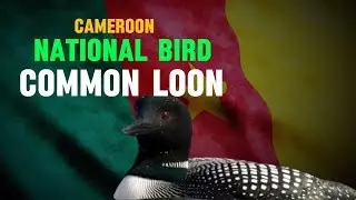 What is the national bird of Cameroon?