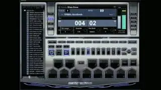 BTV Solo Loop Training