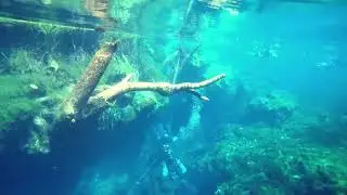 Freediving Cenote Jardin del Eden