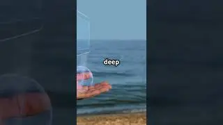 Mind Bending Physics  The Many Worlds Theory  #shorts #facts #physics