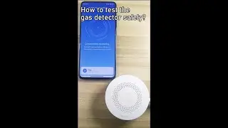 How to test your gas leak detector safely?#homesafety  #kitchensupplies #scienceexperiment