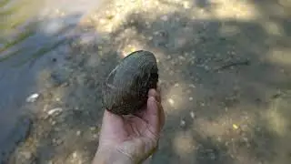 Summer Kayaking | French Creek, Pennsylvania