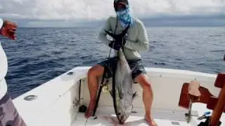 Cebaco Bay Yellowfin Tuna