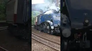 Cool doppler #britishrail #railway #britishrailways #train #trains #steamengine #uk #england #yt#sub