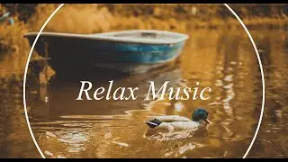 MUSIC FOR THE SOUL RELAX TIME ⚓Озеро Селигер 2020🎧 ⚓ dji mavic mini и Sony a7m3 Нежный и крепкий СОН